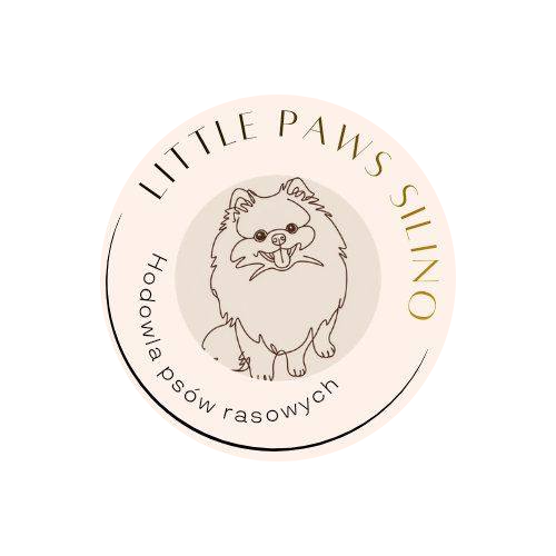 Little Paws SiLiNo Logo